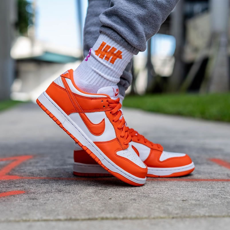 Nike Sb Dunk Low Sp Syracuse Orange Blaze Cu1726 101 On Feet (1) - www.kitistry.com Nike Sb Dunk Low Sp Syracuse Orange Blaze Cu1726 101 On Feet (1) - www.kitistry.com