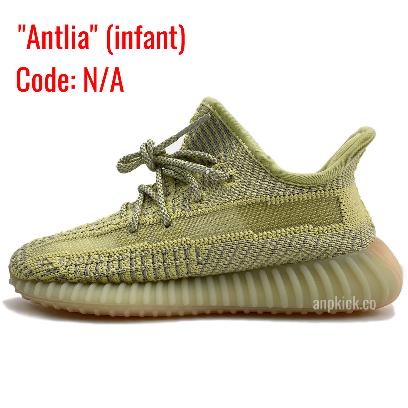 Infants Antlia - www.kitistry.com