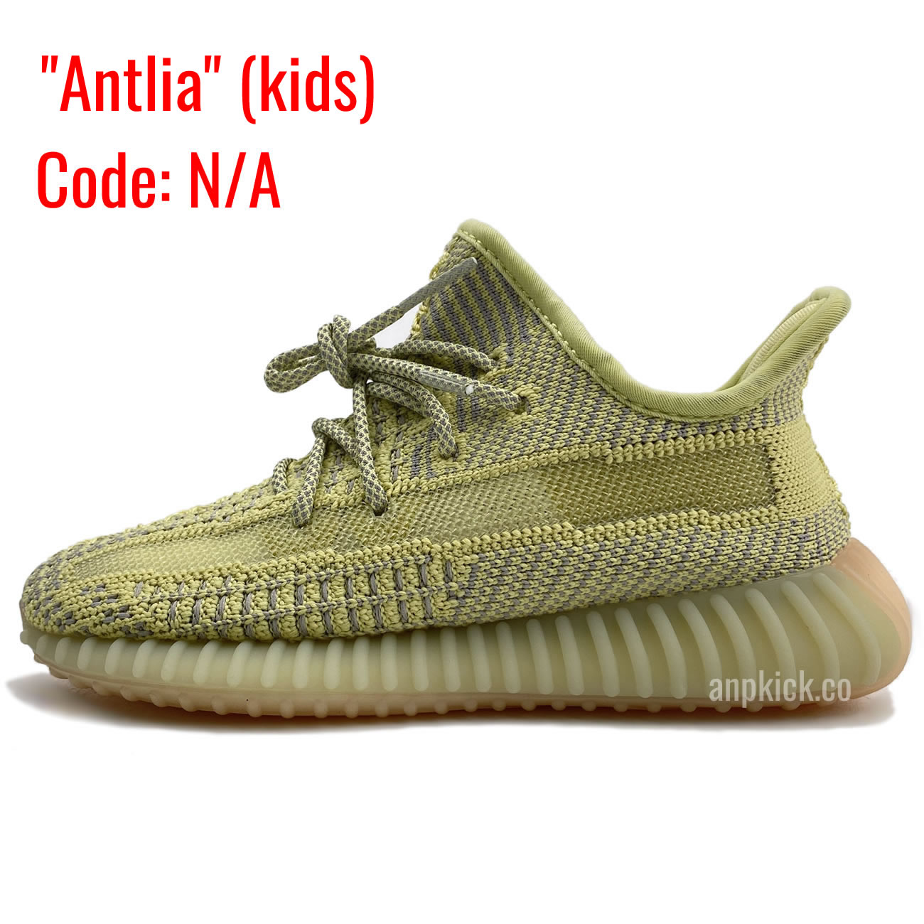 Kids Antlia - www.kitistry.com Kids Antlia - www.kitistry.com