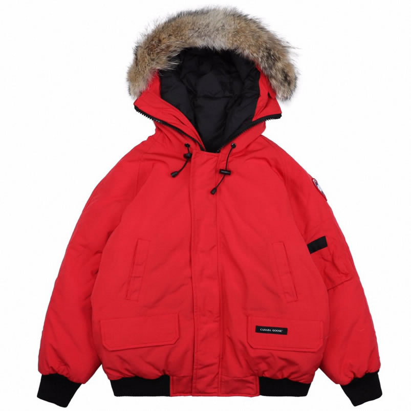 01 Canada Goose 19fw Pbi Chilliwack 7999mpb Down Jacket Coat Red (1) - www.kitistry.com 01 Canada Goose 19fw Pbi Chilliwack 7999mpb Down Jacket Coat Red (1) - www.kitistry.com
