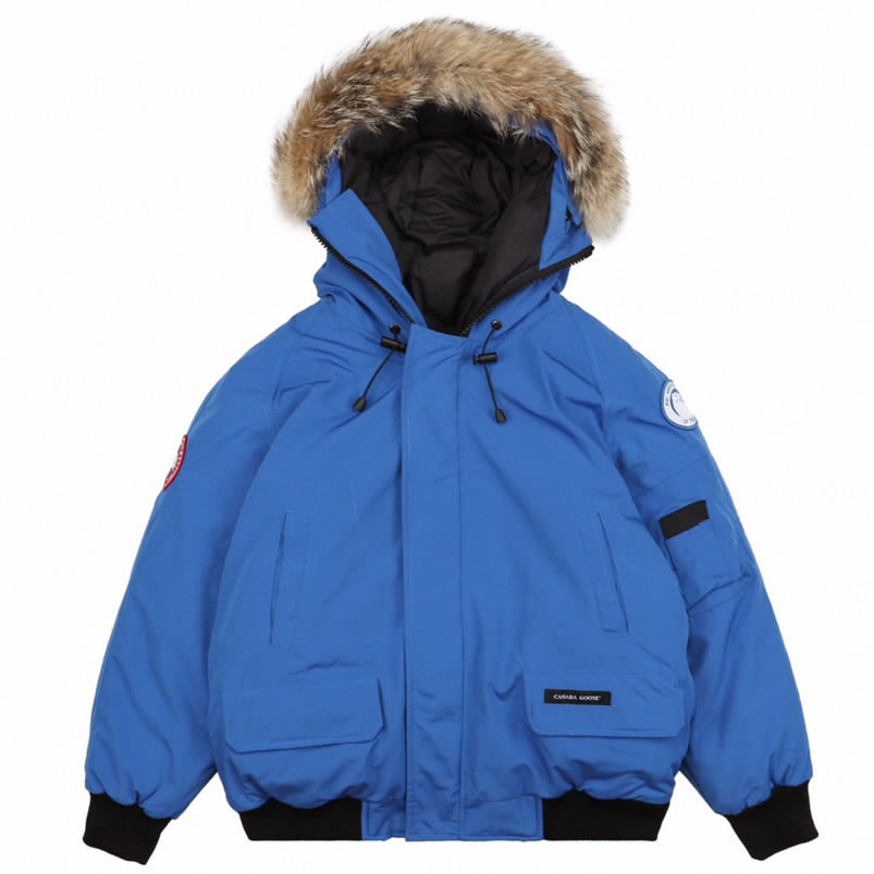 01 Canada Goose 19fw Pbi Chilliwack 7999mpb Down Jacket Coat Sky Blue (1) - www.kitistry.com
