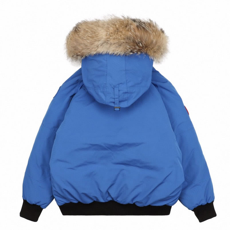 01 Canada Goose 19fw Pbi Chilliwack 7999mpb Down Jacket Coat Sky Blue (2) - www.kitistry.com