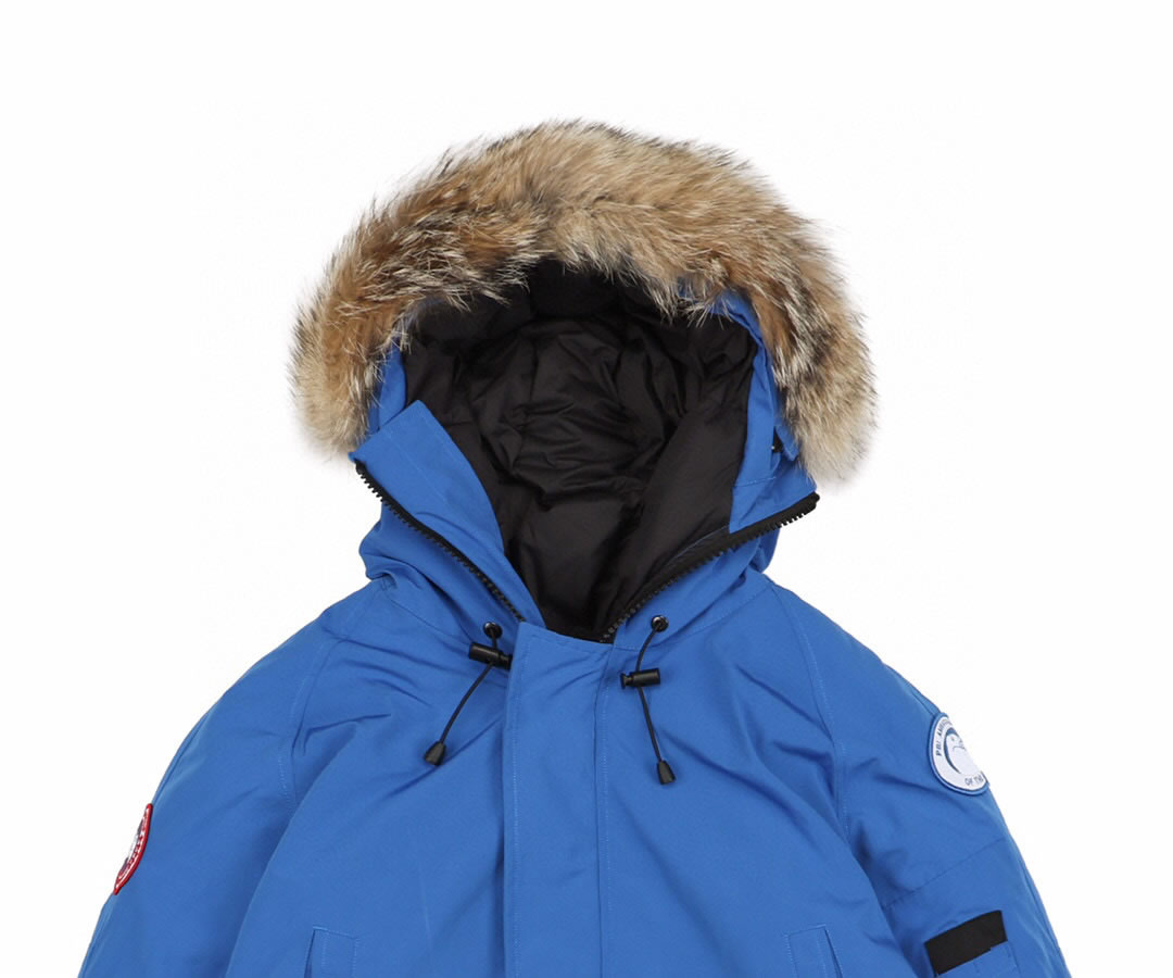 01 Canada Goose 19fw Pbi Chilliwack 7999mpb Down Jacket Coat Sky Blue (3) - www.kitistry.com