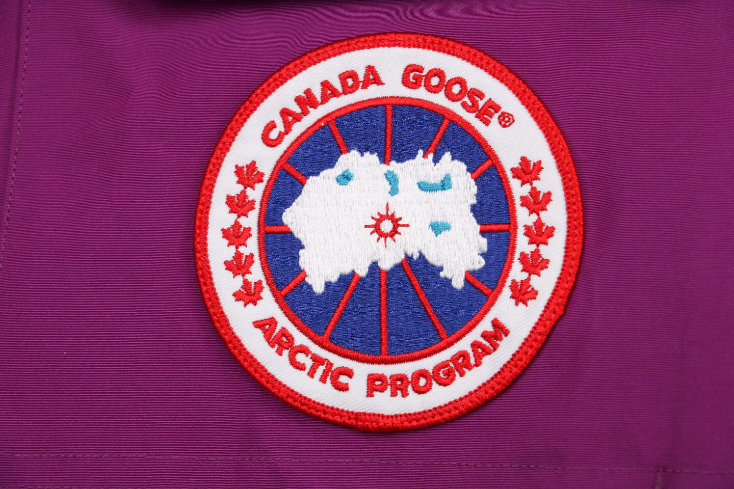 08 Canada Goose 19fw Expedition 4660ma Down Jacket Coat Purple (5) - www.kitistry.com 08 Canada Goose 19fw Expedition 4660ma Down Jacket Coat Purple (5) - www.kitistry.com