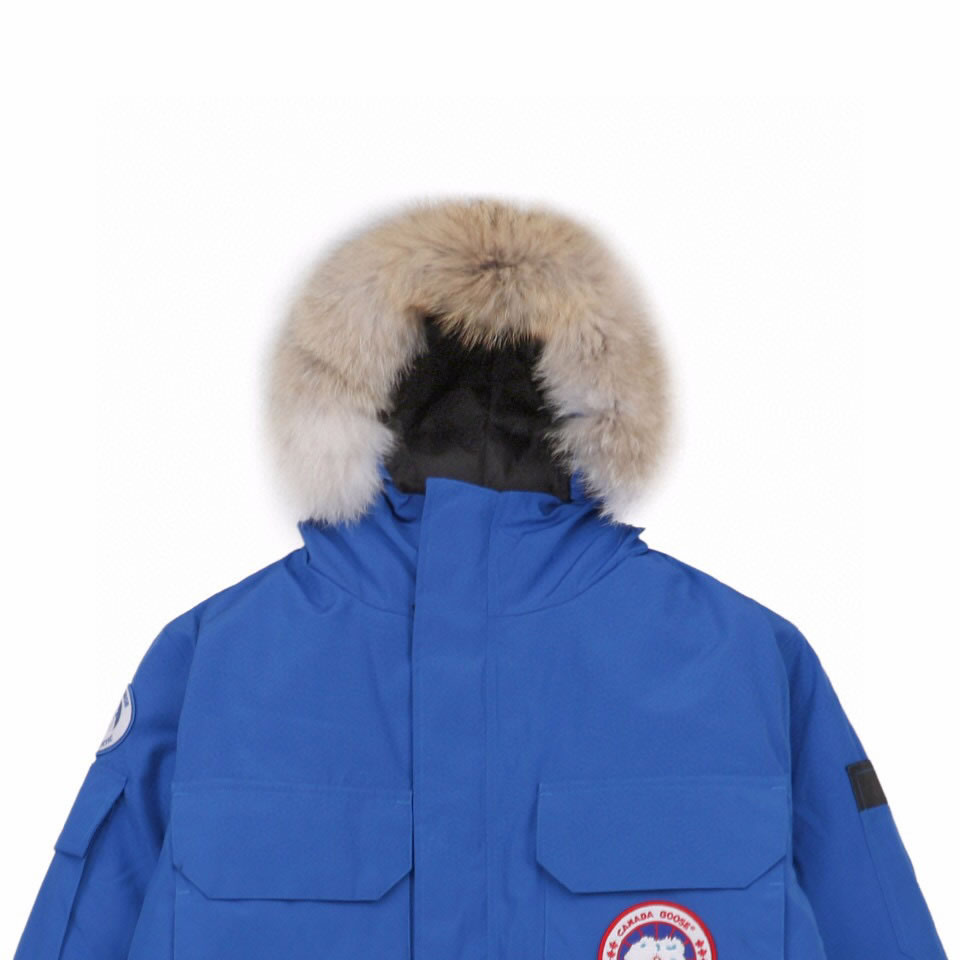 08 Canada Goose 19fw Expedition 4660ma Down Jacket Coat Sky Blue (5) - www.kitistry.com 08 Canada Goose 19fw Expedition 4660ma Down Jacket Coat Sky Blue (5) - www.kitistry.com