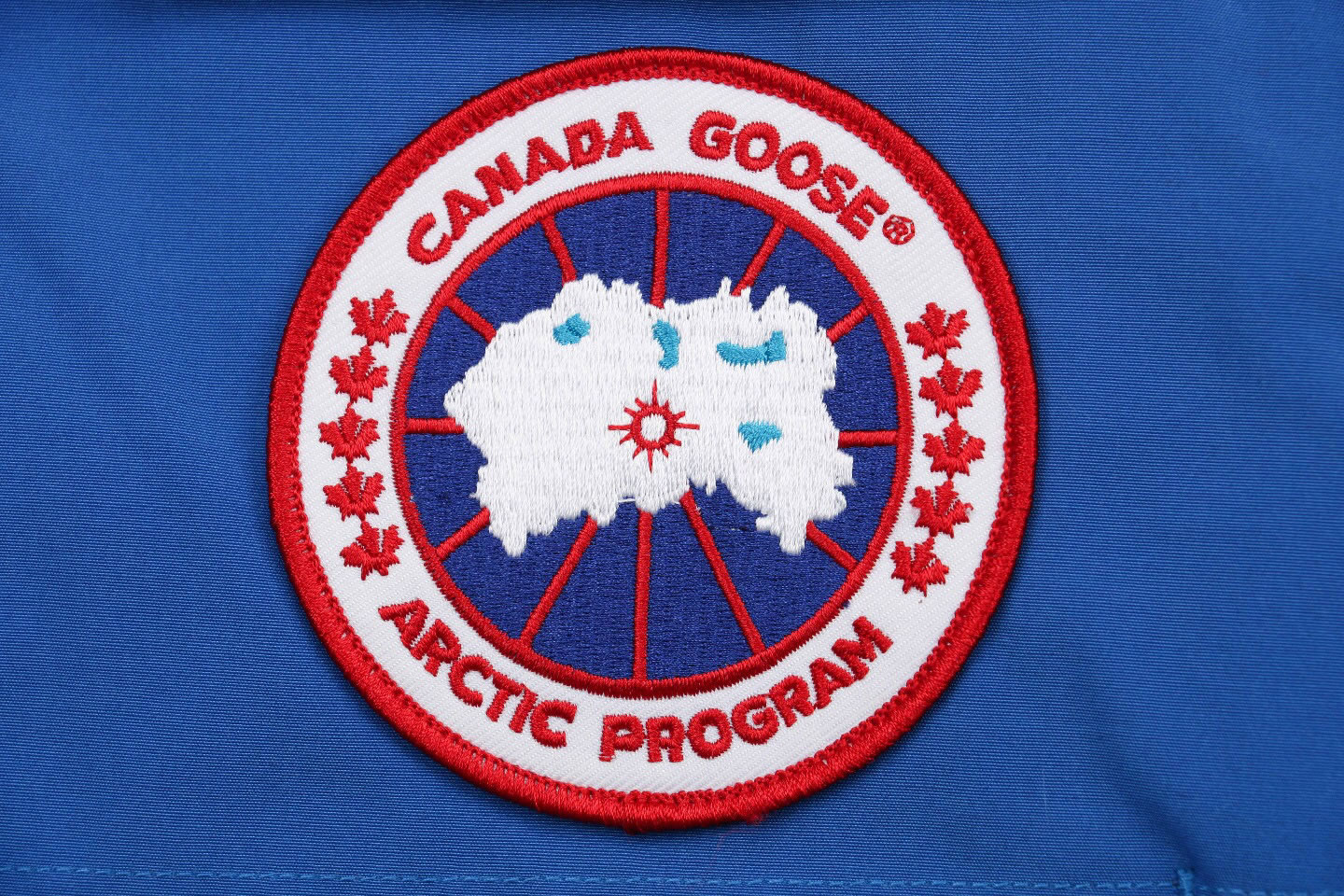 08 Canada Goose 19fw Expedition 4660ma Down Jacket Coat Sky Blue (6) - www.kitistry.com 08 Canada Goose 19fw Expedition 4660ma Down Jacket Coat Sky Blue (6) - www.kitistry.com