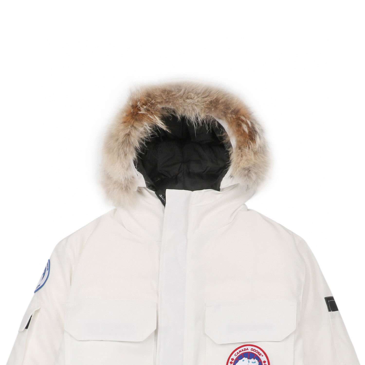 08 Canada Goose 19fw Expedition 4660ma Down Jacket Coat White (5) - www.kitistry.com 08 Canada Goose 19fw Expedition 4660ma Down Jacket Coat White (5) - www.kitistry.com