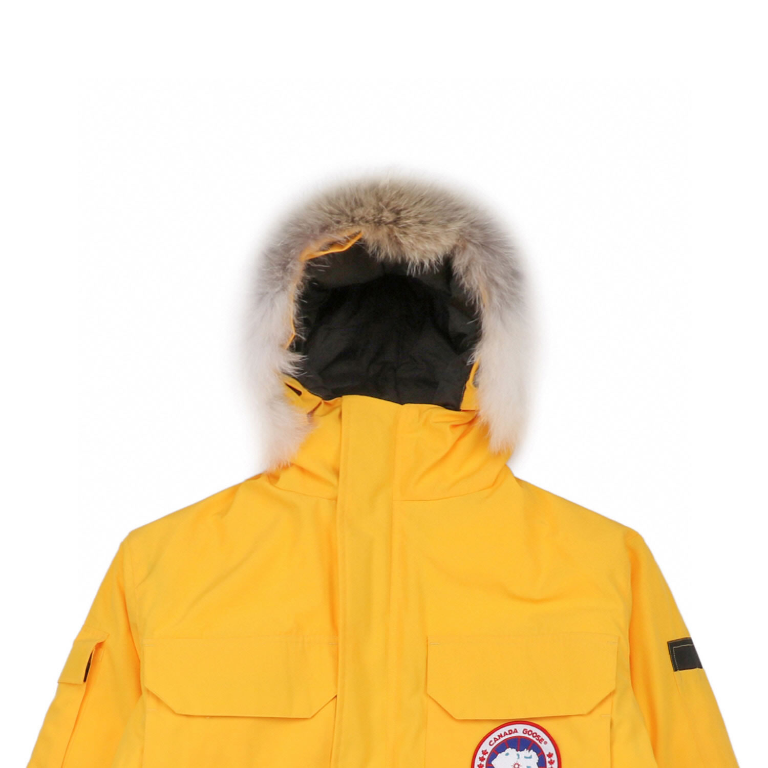 08 Canada Goose 19fw Expedition 4660ma Down Jacket Coat Yellow (4) - www.kitistry.com 08 Canada Goose 19fw Expedition 4660ma Down Jacket Coat Yellow (4) - www.kitistry.com