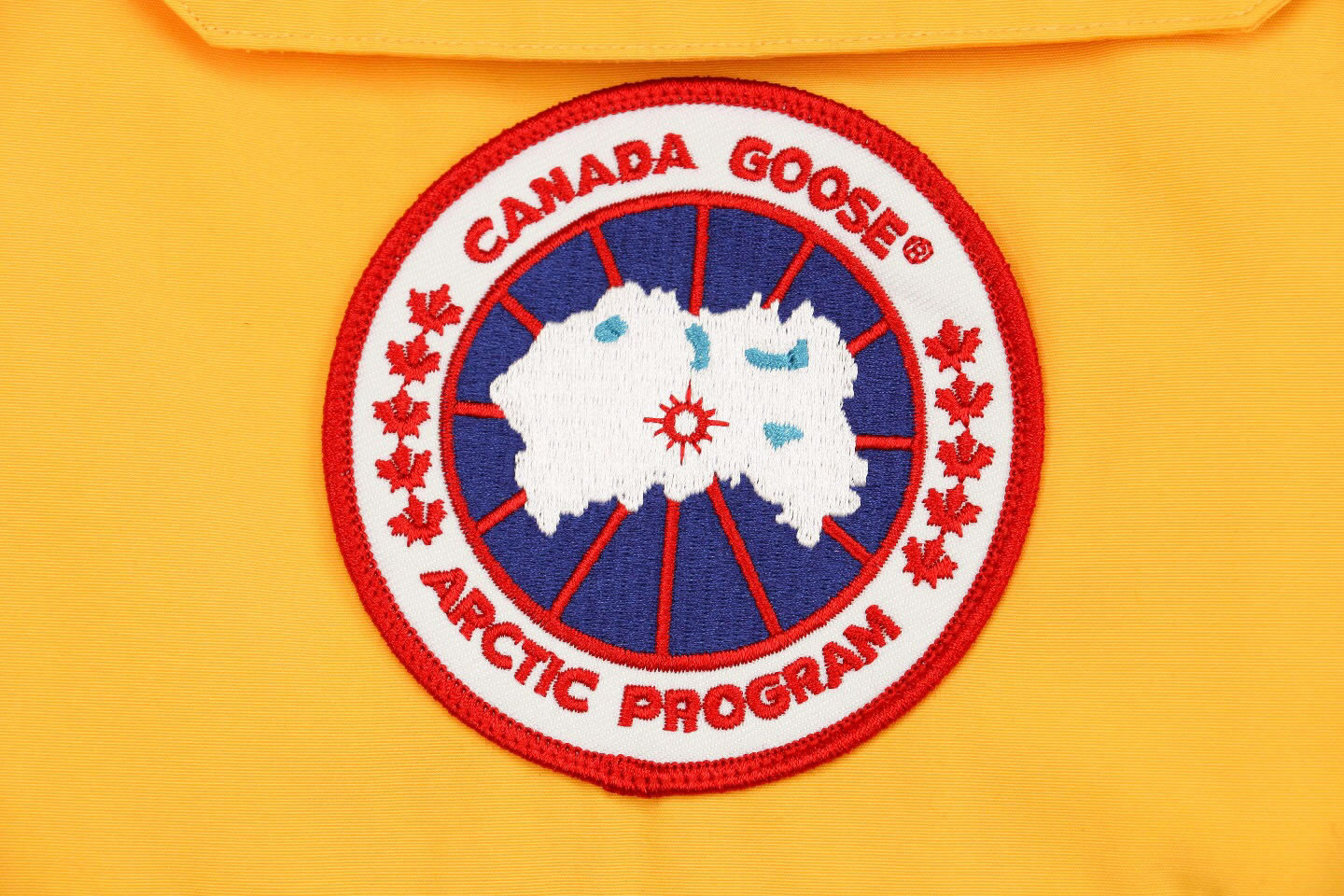 08 Canada Goose 19fw Expedition 4660ma Down Jacket Coat Yellow (7) - www.kitistry.com 08 Canada Goose 19fw Expedition 4660ma Down Jacket Coat Yellow (7) - www.kitistry.com