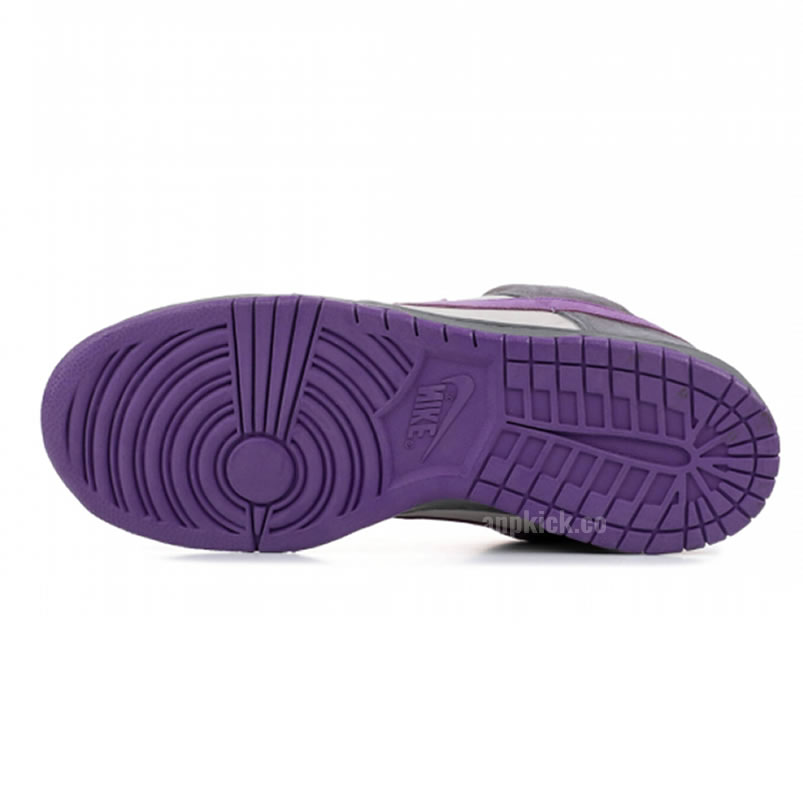 Nike Dunk Sb Low Purple Pigeon 304292 051 (5) - www.kitistry.com Nike Dunk Sb Low Purple Pigeon 304292 051 (5) - www.kitistry.com
