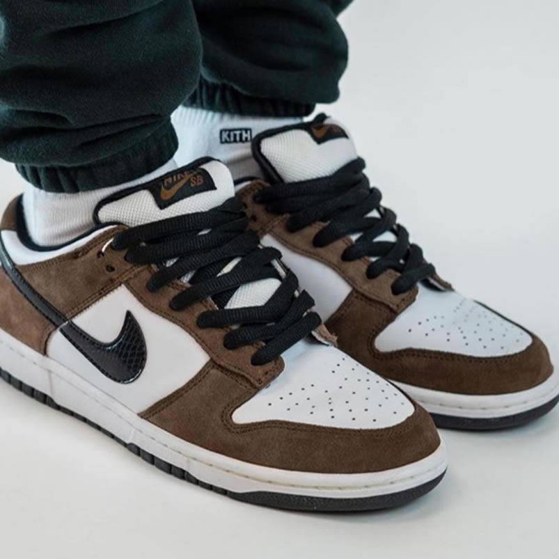 Nike Sb Dunk Low Trail End Brown Black White On Feet 304292 102 (1) - www.kitistry.com