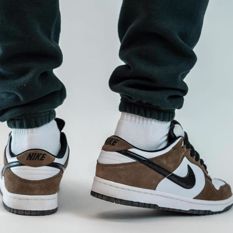 Nike Sb Dunk Low Trail End Brown Black White On Feet 304292 102 (2) - www.kitistry.com
