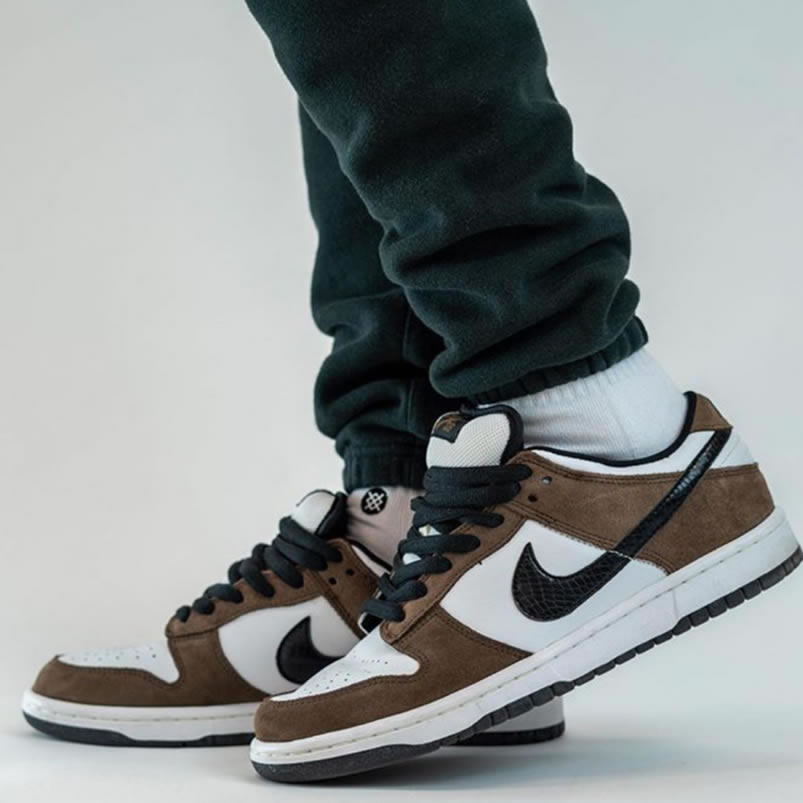 Nike Sb Dunk Low Trail End Brown Black White On Feet 304292 102 (3) - www.kitistry.com