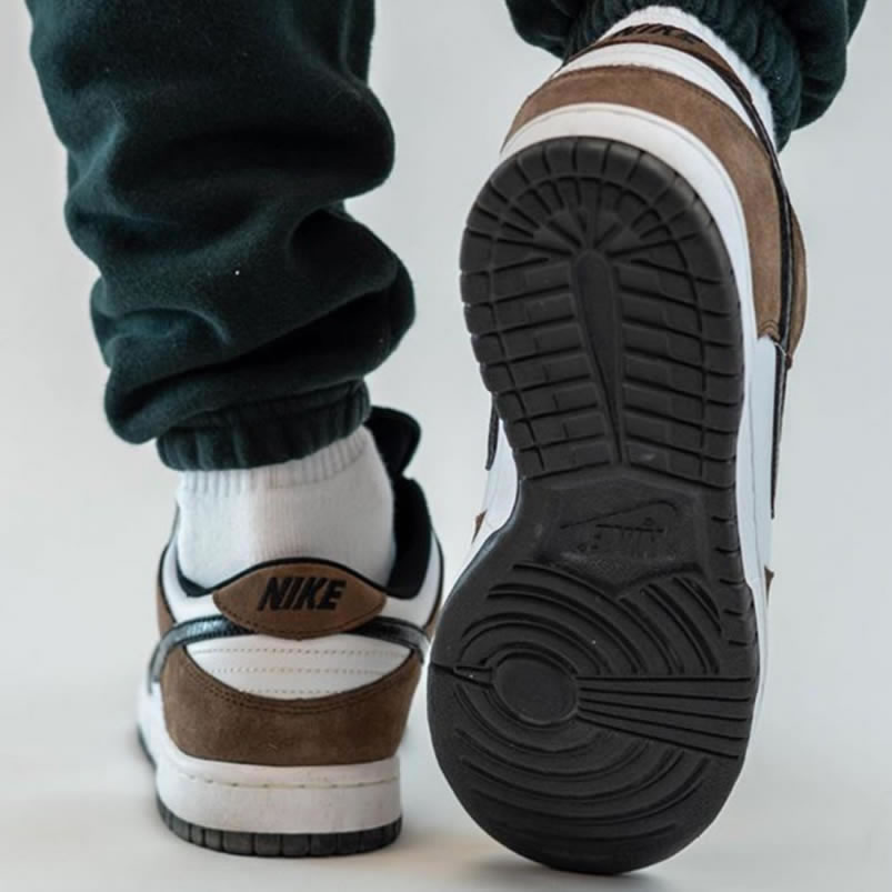 Nike Sb Dunk Low Trail End Brown Black White On Feet 304292 102 (4) - www.kitistry.com