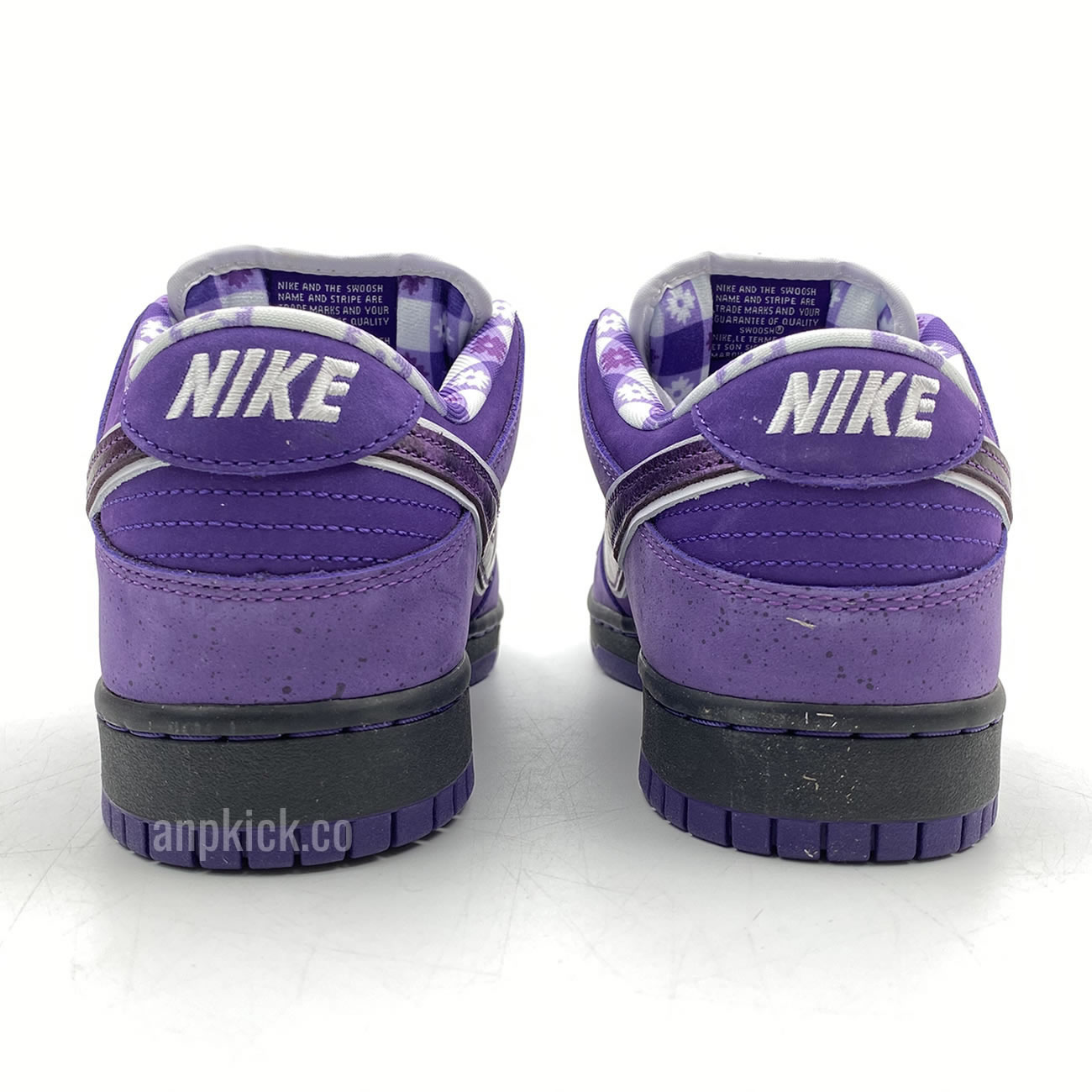 Anpkick Nike Sb Dunk Low Concepts Purple Lobster Bv1310 55570 (5) - www.kitistry.com Anpkick Nike Sb Dunk Low Concepts Purple Lobster Bv1310 55570 (5) - www.kitistry.com