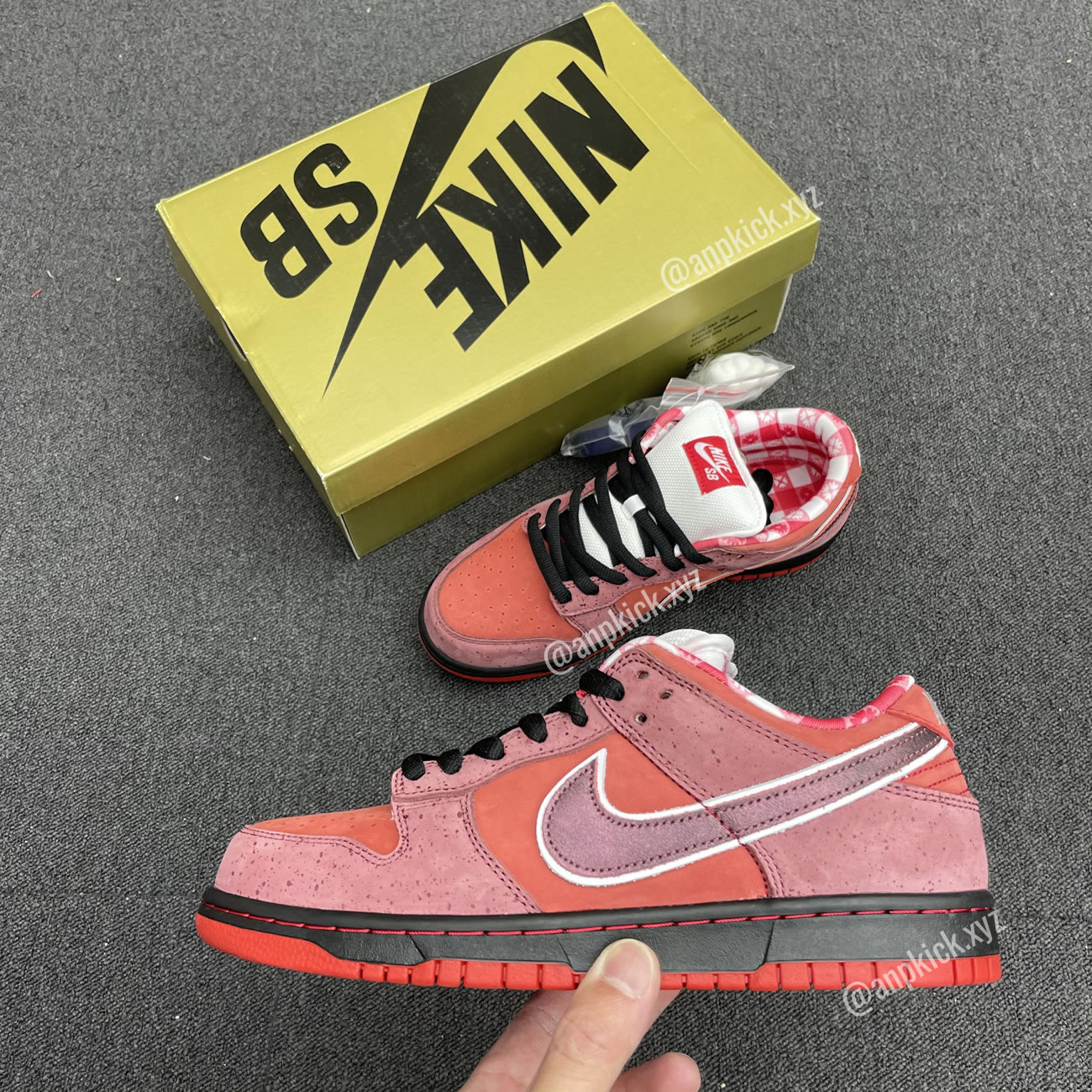 Anpkick Nike Sb Dunk Low Concepts Red Lobster 313170 661 (2) - www.kitistry.com Anpkick Nike Sb Dunk Low Concepts Red Lobster 313170 661 (2) - www.kitistry.com