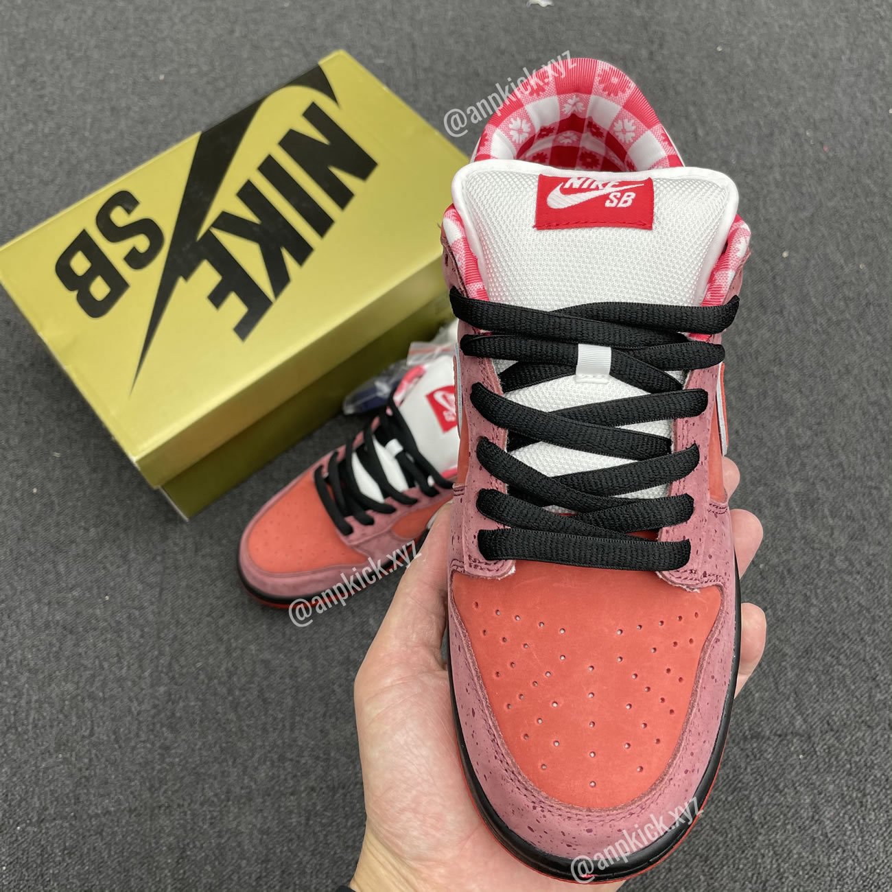 Anpkick Nike Sb Dunk Low Concepts Red Lobster 313170 661 (5) - www.kitistry.com Anpkick Nike Sb Dunk Low Concepts Red Lobster 313170 661 (5) - www.kitistry.com