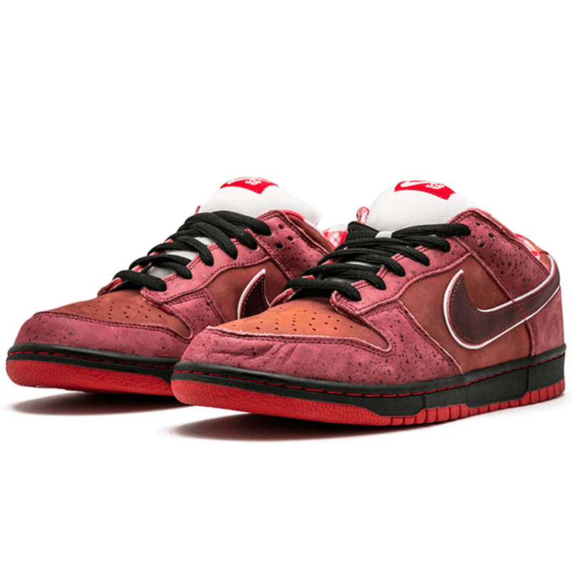 Nike Sb Dunk Low Concepts Red Lobster 313170 661 (2) - www.kitistry.com Nike Sb Dunk Low Concepts Red Lobster 313170 661 (2) - www.kitistry.com
