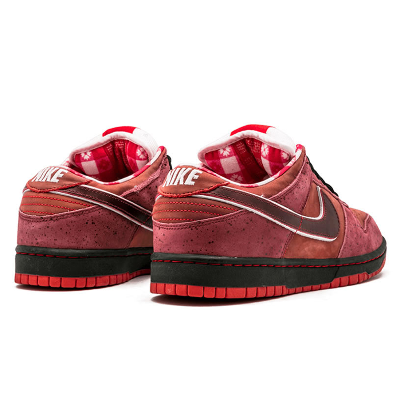 Nike Sb Dunk Low Concepts Red Lobster 313170 661 (3) - www.kitistry.com Nike Sb Dunk Low Concepts Red Lobster 313170 661 (3) - www.kitistry.com