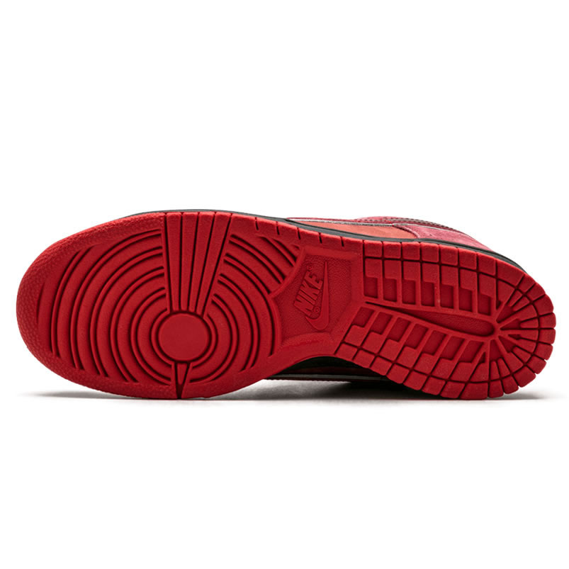 Nike Sb Dunk Low Concepts Red Lobster 313170 661 (4) - www.kitistry.com Nike Sb Dunk Low Concepts Red Lobster 313170 661 (4) - www.kitistry.com