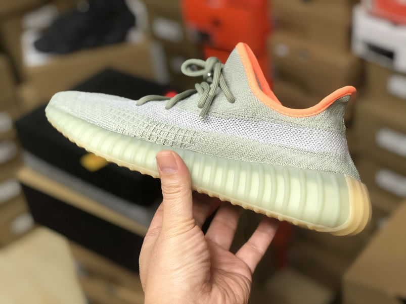 Adidas Yeezy Boost 350 V2 Desert Sage Anpkick Release Date Fx9035 (5) - www.kitistry.com Adidas Yeezy Boost 350 V2 Desert Sage Anpkick Release Date Fx9035 (5) - www.kitistry.com
