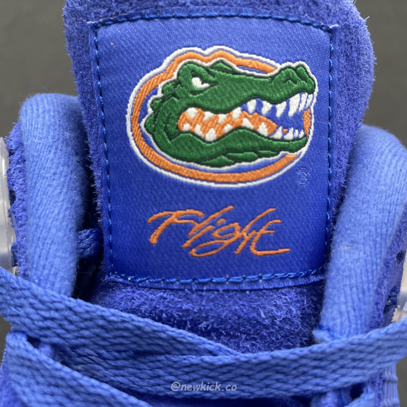 Air Jordan 4 Retro Florida Gators 904283 (5) - www.kitistry.com