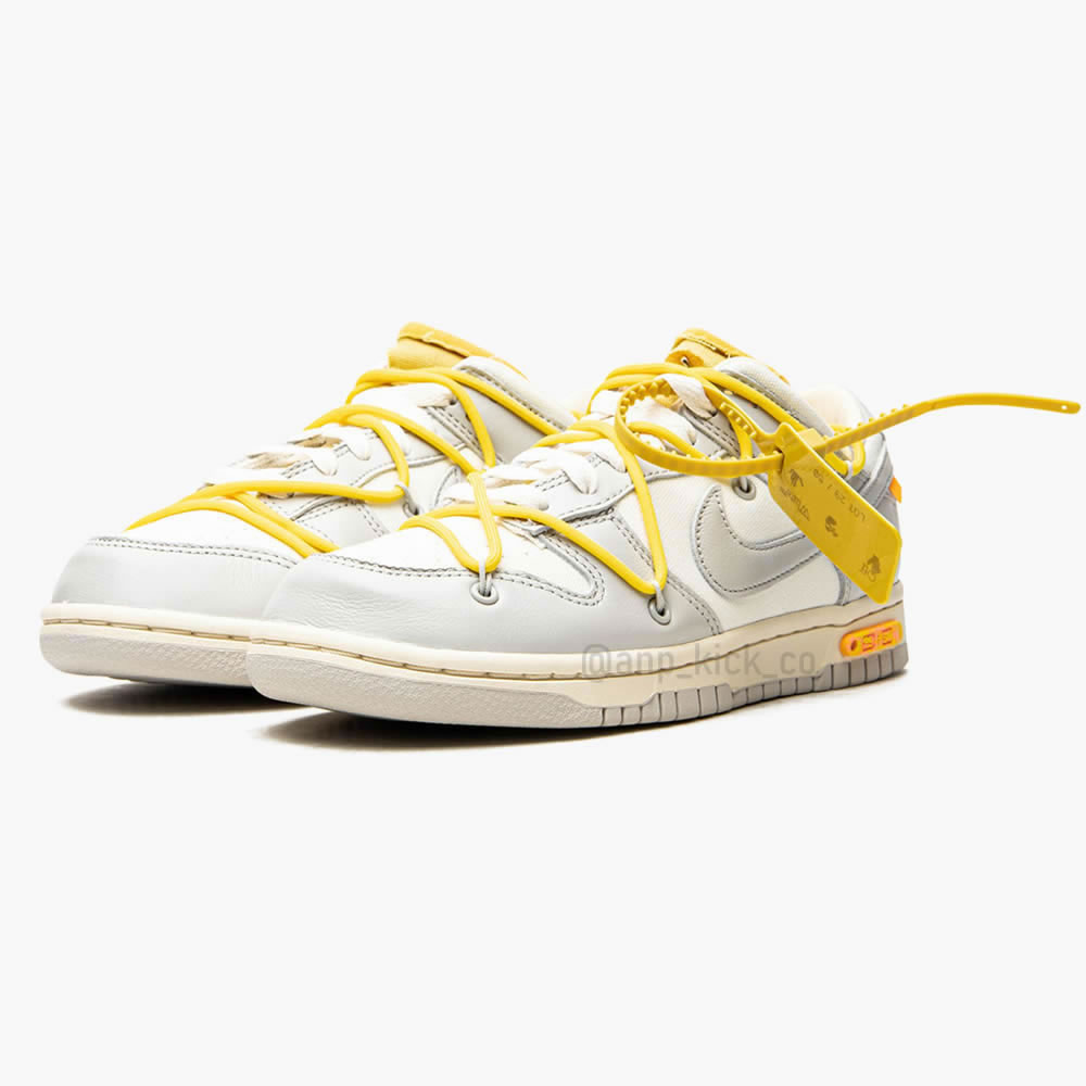Off White Nike Sb Dunk Low Lot 29 Of 50 (1) - www.kitistry.com