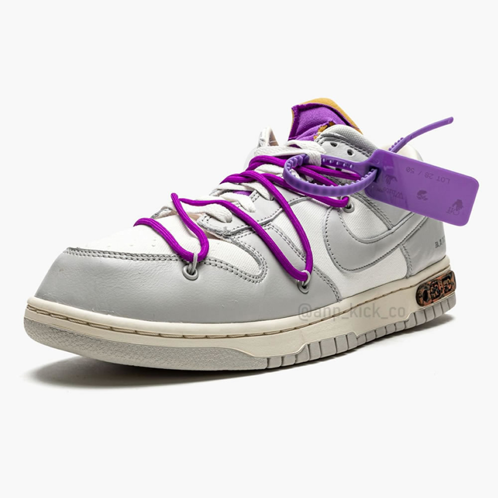 Off White Nike Sb Dunk Low Lot 28 Of 50 (5) - www.kitistry.com