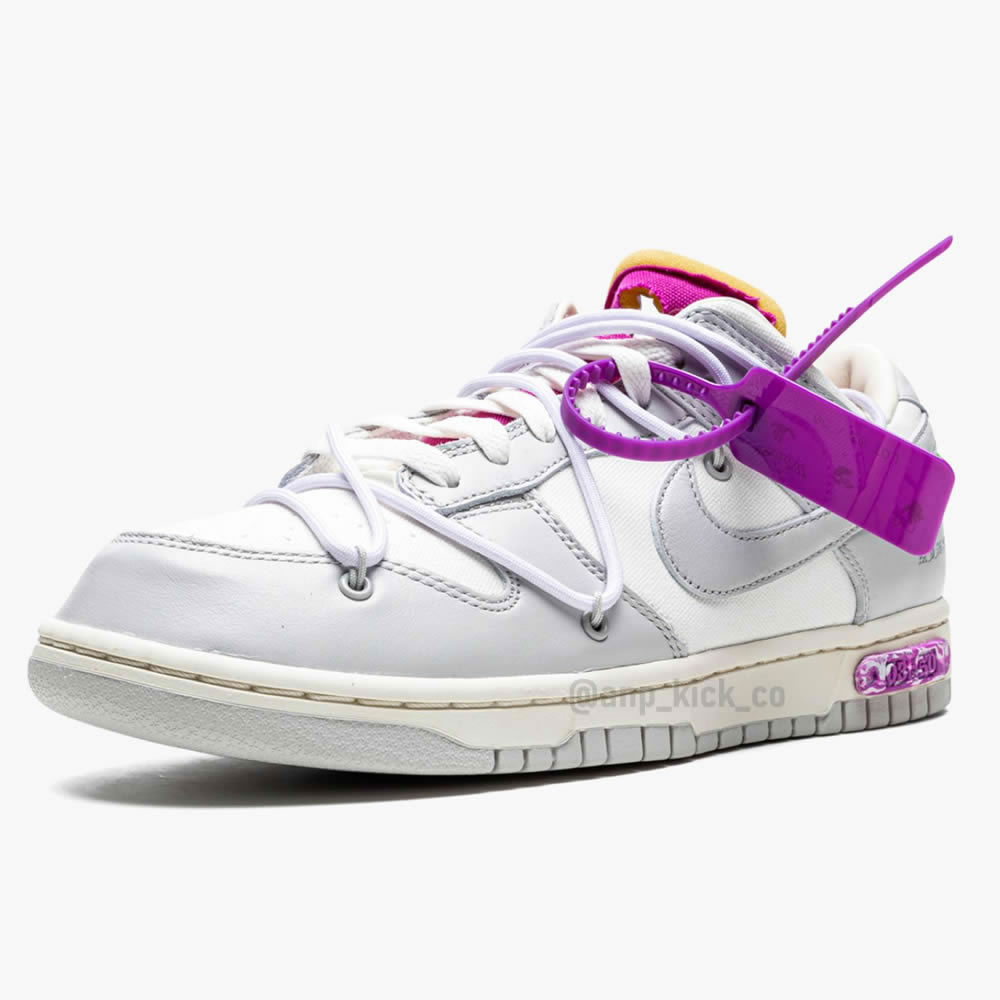 Off White Nike Sb Dunk Low Lot 03 Of 50 (5) - www.kitistry.com