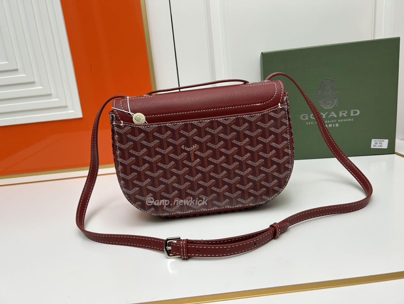 Goyard 233 Messenger Bag 17 Cm X 8 Cm X 25 Cm (19) - www.kitistry.com
