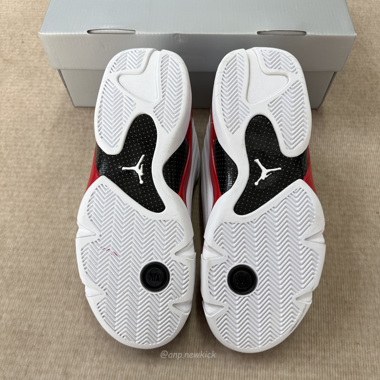 Air Jordan 14 Retro Rip Hamilton 487471 100 (2) - www.kitistry.com