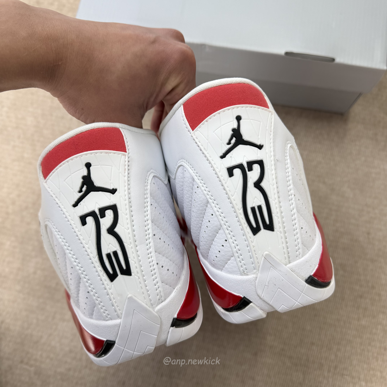 Air Jordan 14 Retro Rip Hamilton 487471 100 (3) - www.kitistry.com