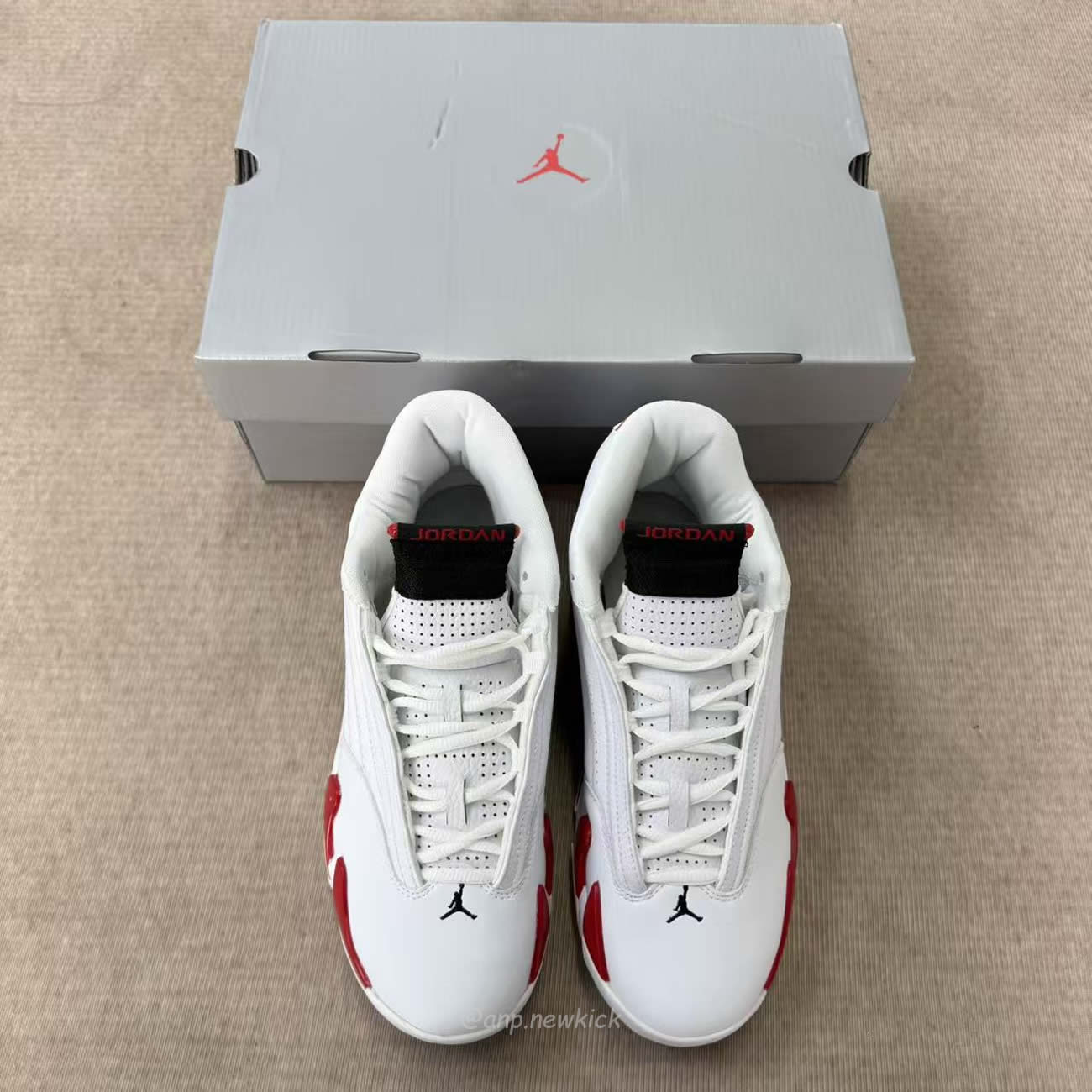 Air Jordan 14 Retro Rip Hamilton 487471 100 (4) - www.kitistry.com