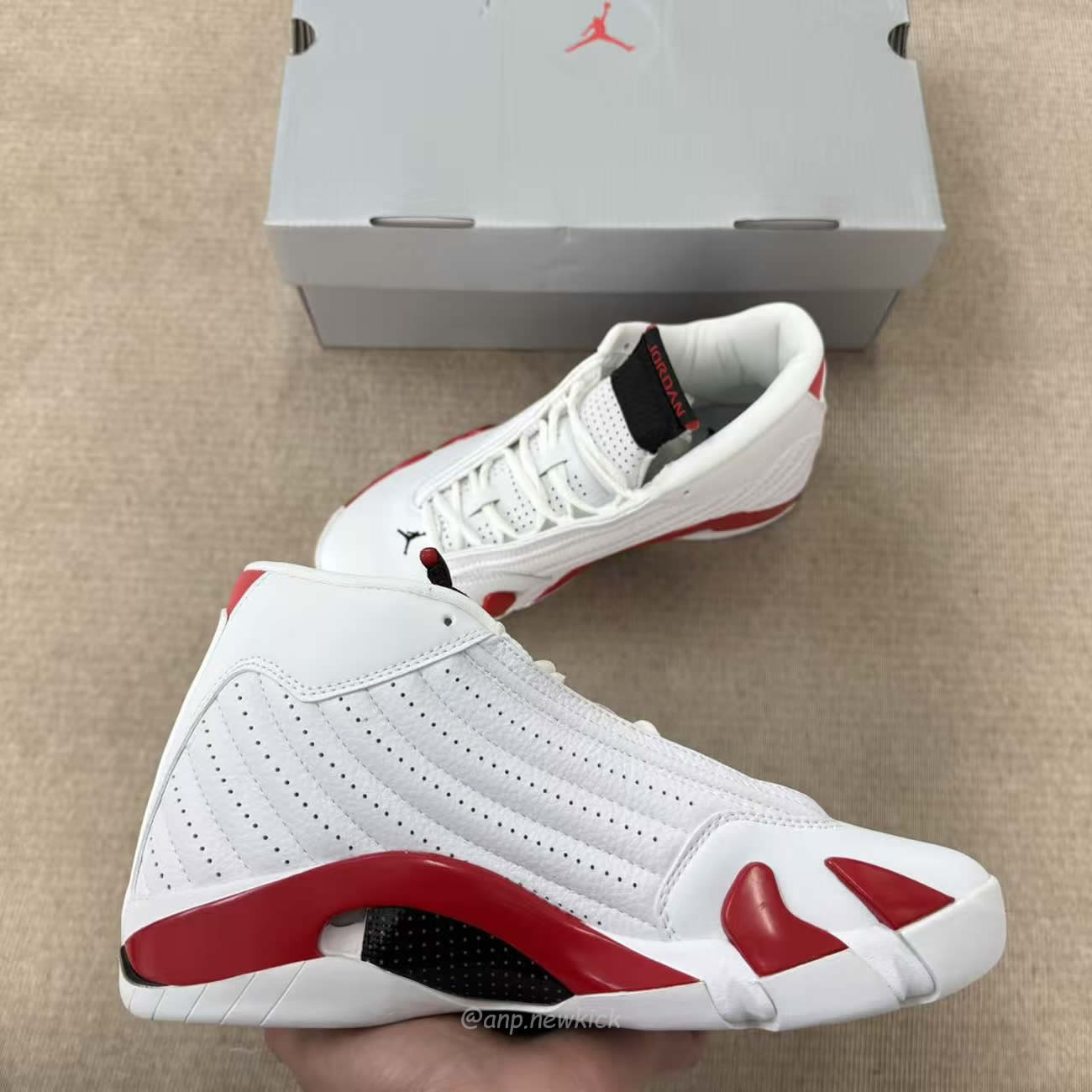 Air Jordan 14 Retro Rip Hamilton 487471 100 (5) - www.kitistry.com