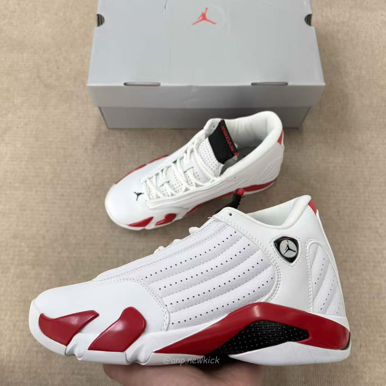 Air Jordan 14 Retro Rip Hamilton 487471 100 (6) - www.kitistry.com