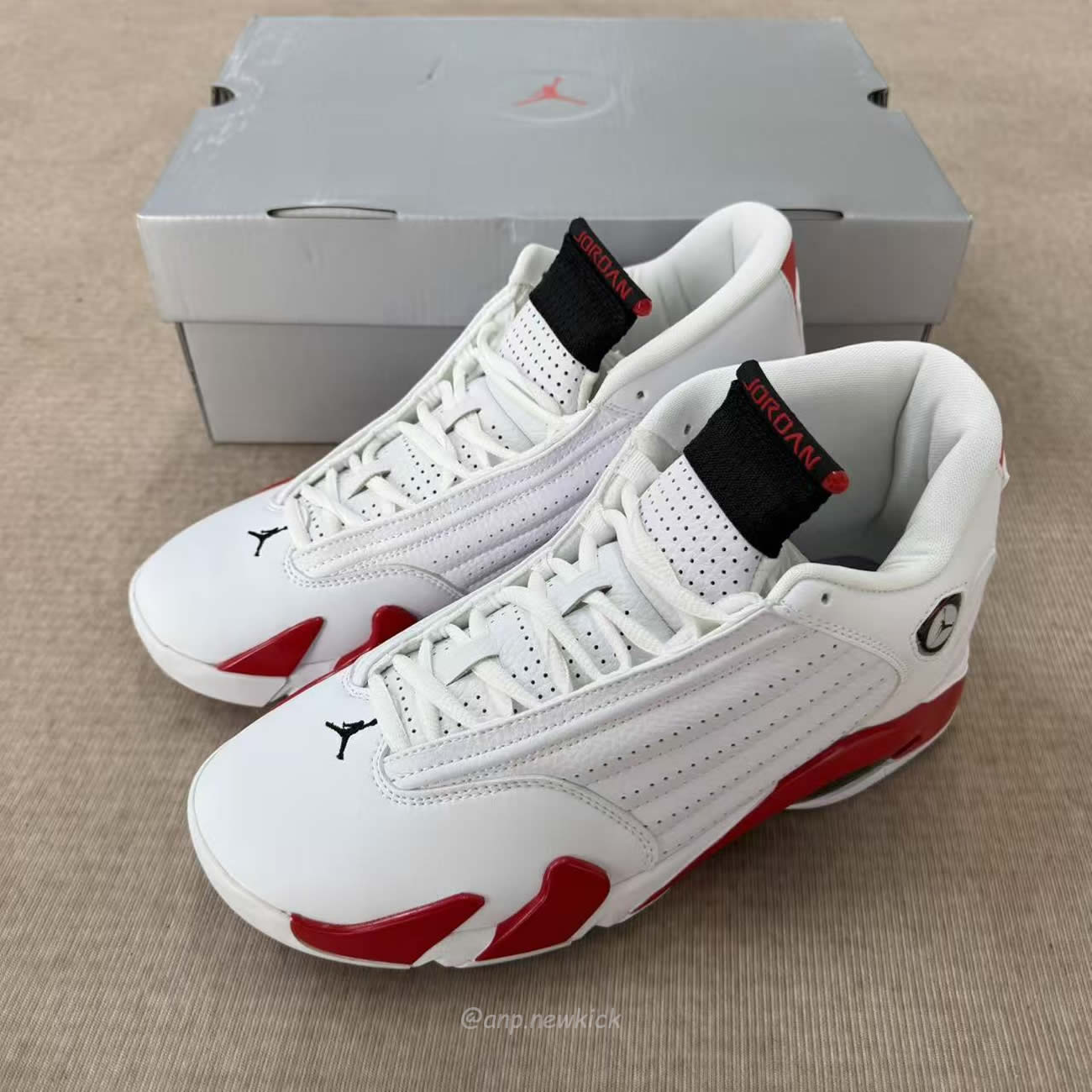 Air Jordan 14 Retro Rip Hamilton 487471 100 (7) - www.kitistry.com