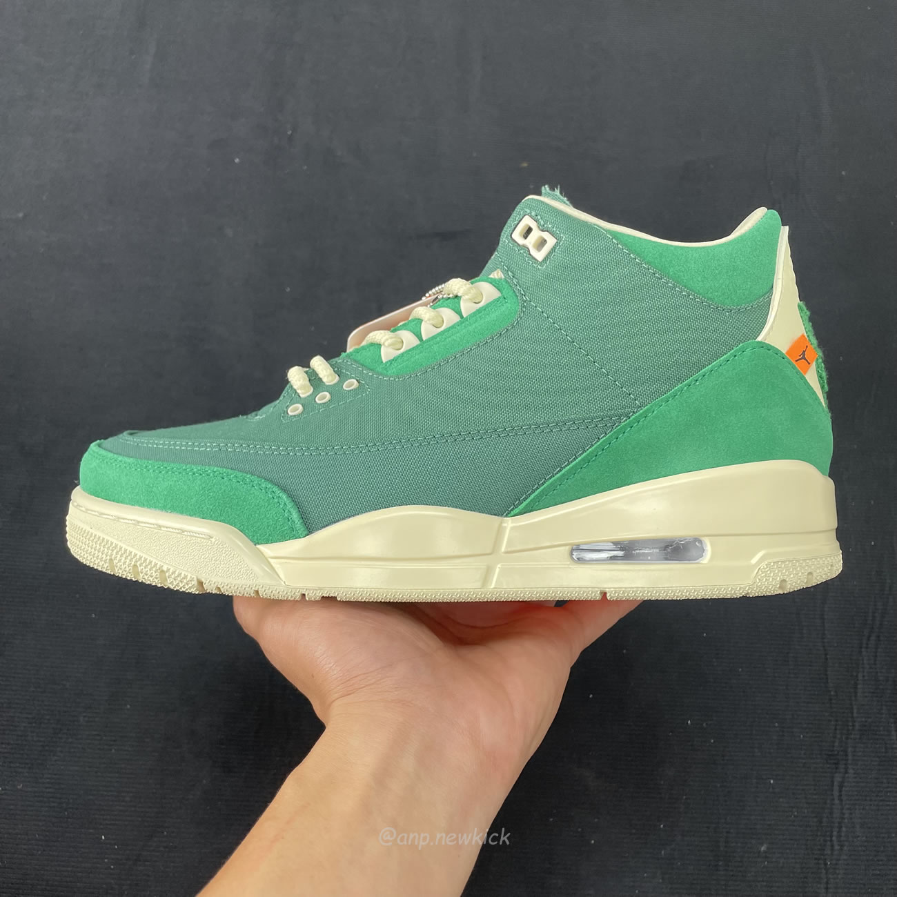 Air Jordan 3 Retro Sp Nina Chanel Abney Bicoastal Womens Fz7974 300 (3) - www.kitistry.com