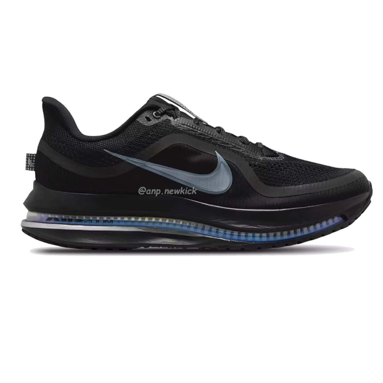 Nike Air Zoom Pegasus Premium Airscape (12) - www.kitistry.com