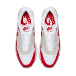 Nike Air Max 1 Anniversary Red 20172018 Restock Pair 908375-103