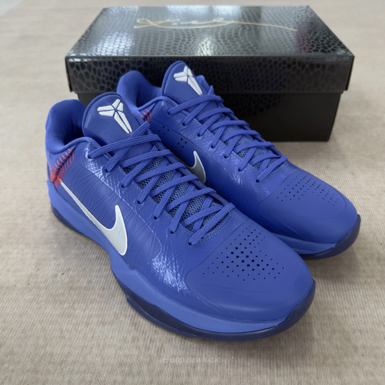 Nike Kobe 5 Protro Dodgers Io6256 400 (4) - www.kitistry.com